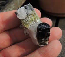 TOP sehr schöner großer