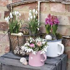 6 Lunch Servietten, Serviettentechnik, Basteln Sammeln, Frühlings Blumen im Topf