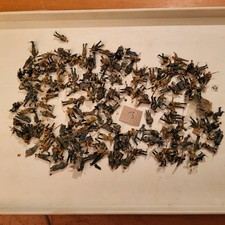Preiser vollmer faller - preiser, h0