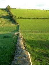 Foto 6x4 Down The Dyke Kirkmichael\/NS3408 Der August Abend Sonnenschein g c2008