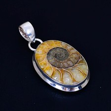 Ammonit Fossil Edelstein