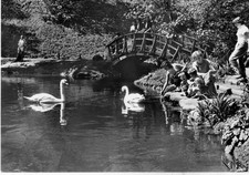 ♥️♥️♥️ Ansichtskarte  Bensheim -Auerbach      ♥️♥️♥️(312)