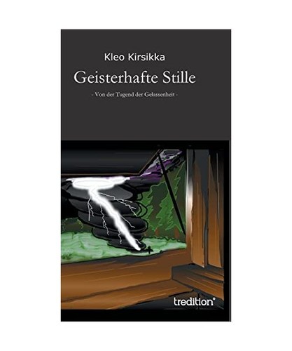 Geisterhafte stille band 2 - band,