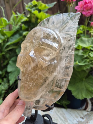 Totenkopf citrin pitico master - totenkopf,