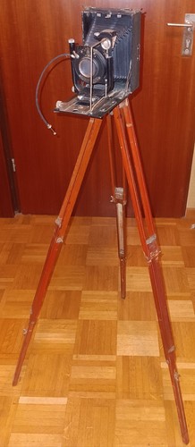 Gomz fotokor1 vintage - gomz,