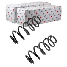 2X NK FAHRWERKSFEDERN HINTEN