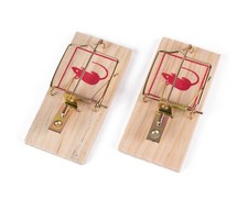 Mäusefallen Schlagfallen aus