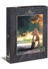 ULMER PUZZLESCHMIEDE Pinselohr