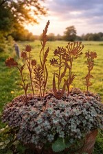 7er Set Sommerblumen Edelrost