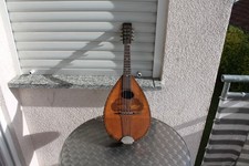 Mandoline. Gitarre. Antike Musikinstrumente. Laute. Banjo. Ukulele. Sammler.