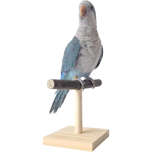 Vogel sitzstange holz - vogel,