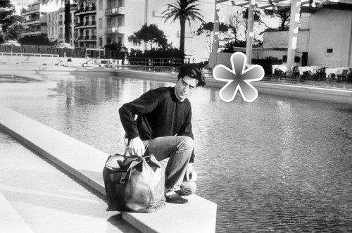 Foto alain delon reproduktion - delon,