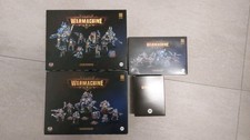 Warmachine Cygnar Gravediggers