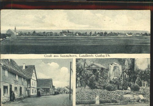 Sonneborn gotha - sonneborn,