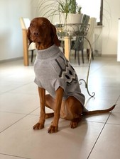 Hundepullover Pulli großer