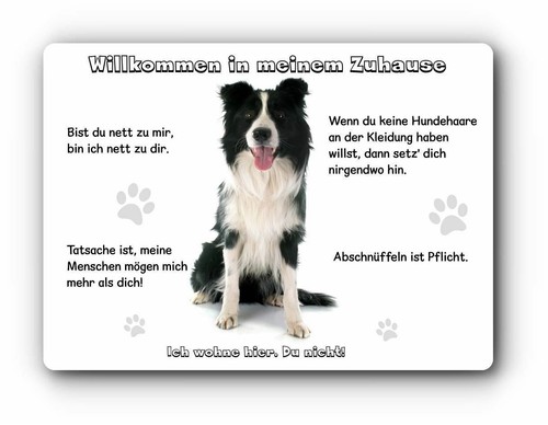 Warnschild 20x30cm - -,