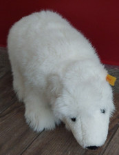 Steiff Issy Eisbär 35 cm mit Knopf und Fahne, kein Schild mehr