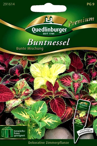 Buntnessel bunte mischung - -,