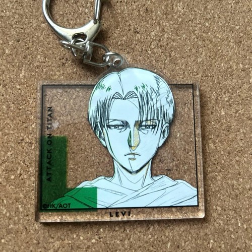 Attack titan levi - on,