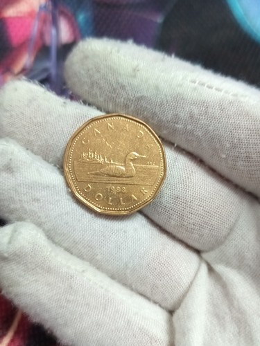 1988 kanada dollar münze - 1988,