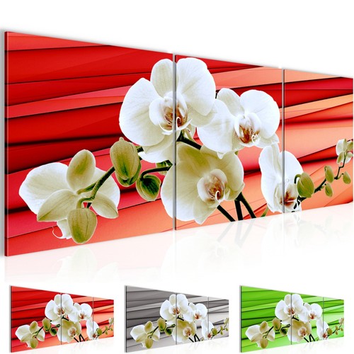 Wandbilder set blumen - wandbilder, orchidee