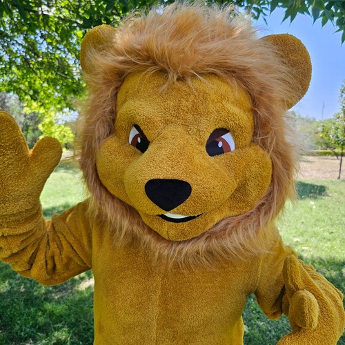 Handmade lion mascot costume - costume,