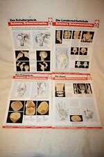 x Brenner Lernposter Anatomie:  Knochen - Gelenke - Skelett Schmerz Ursachen