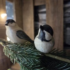 2 x Meise Poly Kohlmeise