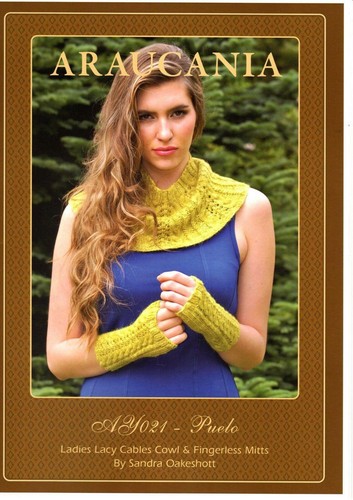 Araucania strickmusterheft - araucania,