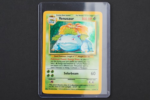 Pokémon venusaur base - pokémon, ⚡️