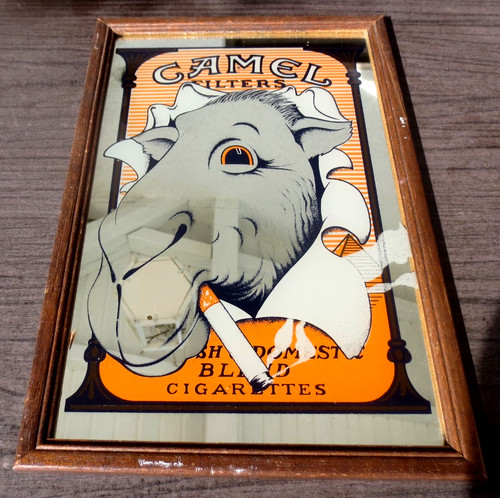 Originalen camel zigaretten - camel,