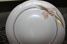 Winterling 12 Personen Kombi Service Tafel Kaffee 77 Teile Porzellan 