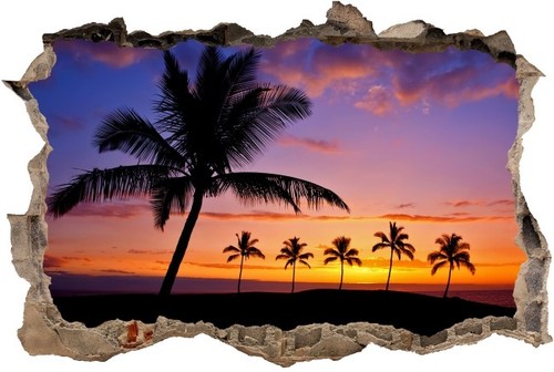 Wandtattoo palmen meer - meer, strand