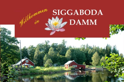 Ferienhaus schweden småland - ferienhaus,