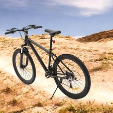 26 Zoll Mountainbike 21-Gang