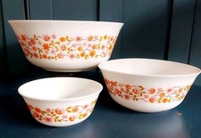 Arcopal Scania Schüssel-Set 3