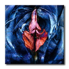 verkaufe VAGINA auf Leinwand -