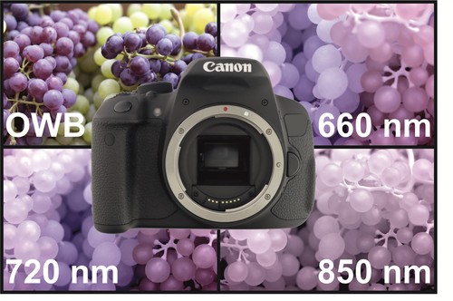 Canon vollspektrum kamera - canon, vollspektrum-kamera