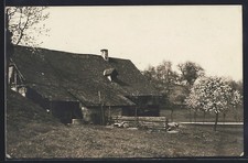 Waldulm /Schwarzwald