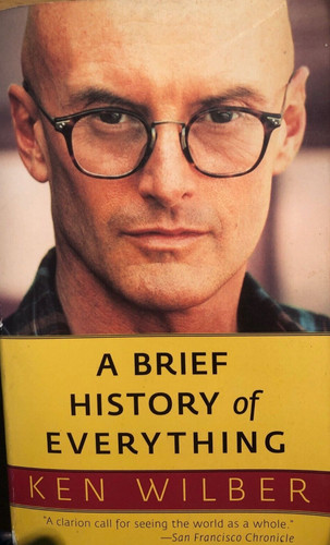 Ken wilber brief history - a,