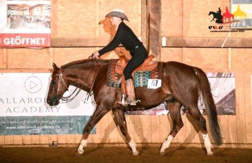 Westernsattel white star - westernsattel,