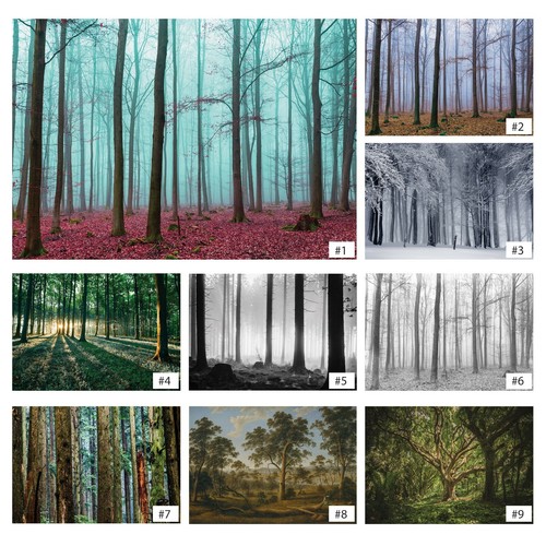 Wald bäume vlies - vlies, fototapete