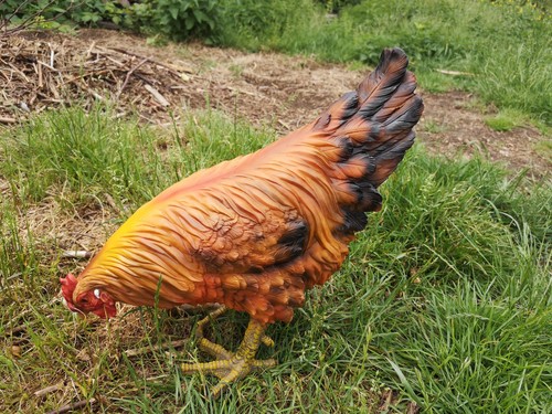 Henne huhn stehend - henne, stehend,