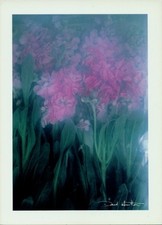 Ak Fotograf David Hamilton