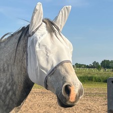 Fliegenmaske mit Ohren für Pferde Effektiver Fliegenschutz