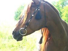 braune edle Araber Show-Trense