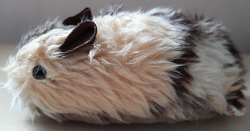 Großes meerschweinchen aus - meerschweinchen,