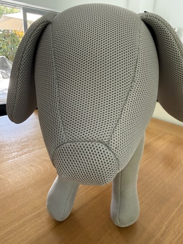 Schaufenster hunde modell hund - schaufenster,