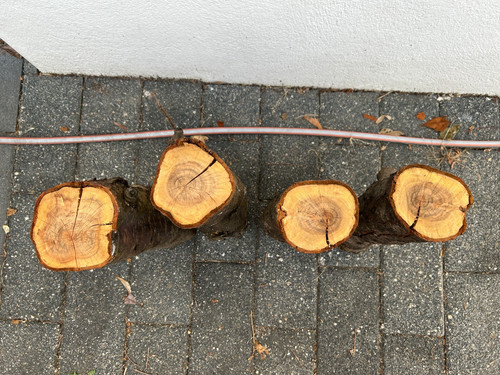 Zwetschgenholz pflaumenholz - zwetschgenholz,
