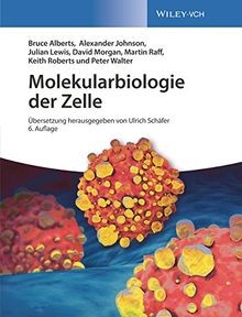 Molekularbiologie der zelle - molekularbiologie,